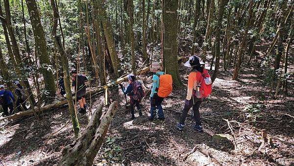 【屋東縱走】屋我尾/東卯山大崩壁-谷關七雄一日2雄挑戰(麗陽