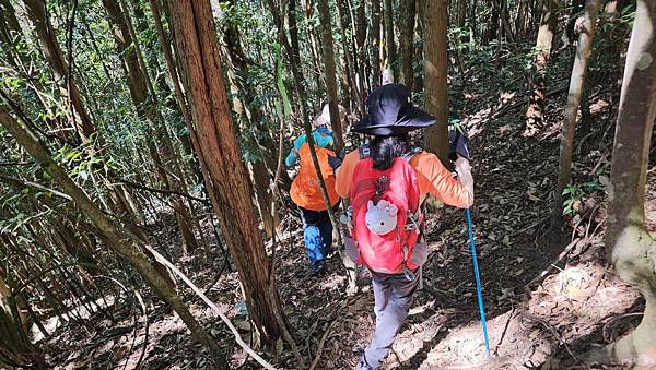 【屋東縱走】屋我尾/東卯山大崩壁-谷關七雄一日2雄挑戰(麗陽
