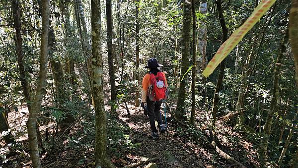 【屋東縱走】屋我尾/東卯山大崩壁-谷關七雄一日2雄挑戰(麗陽