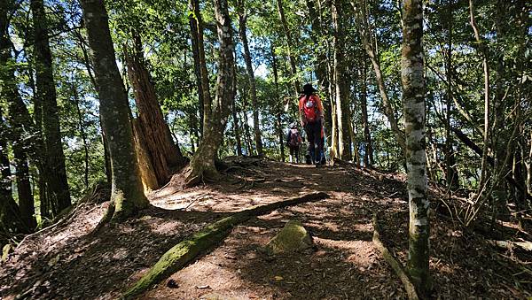 【屋東縱走】屋我尾/東卯山大崩壁-谷關七雄一日2雄挑戰(麗陽