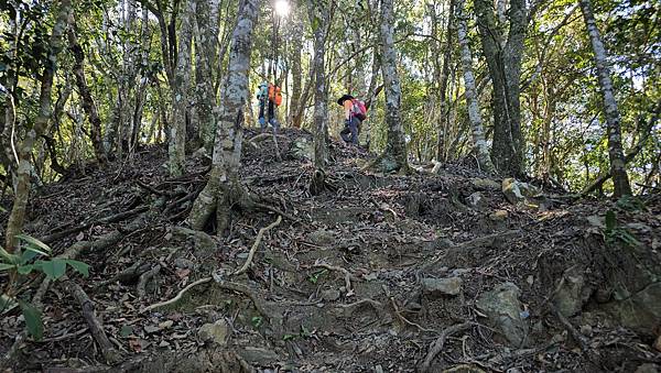 【屋東縱走】屋我尾/東卯山大崩壁-谷關七雄一日2雄挑戰(麗陽