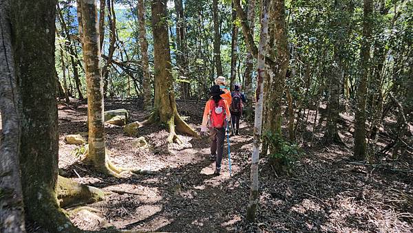 【屋東縱走】屋我尾/東卯山大崩壁-谷關七雄一日2雄挑戰(麗陽