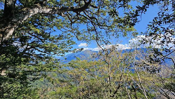 【屋東縱走】屋我尾/東卯山大崩壁-谷關七雄一日2雄挑戰(麗陽