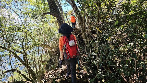 【屋東縱走】屋我尾/東卯山大崩壁-谷關七雄一日2雄挑戰(麗陽