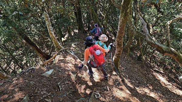 【屋東縱走】屋我尾/東卯山大崩壁-谷關七雄一日2雄挑戰(麗陽