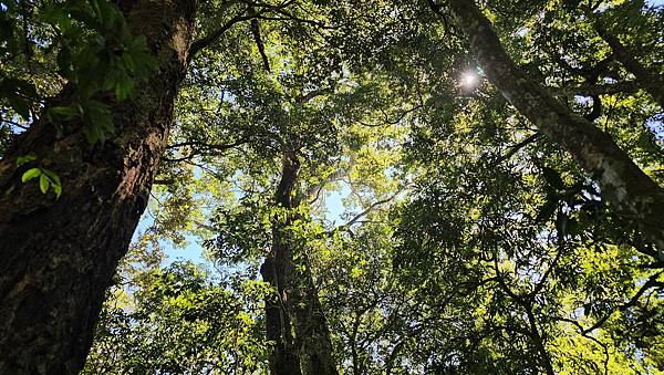 【屋東縱走】屋我尾/東卯山大崩壁-谷關七雄一日2雄挑戰(麗陽