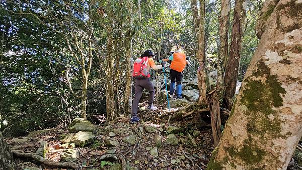 【屋東縱走】屋我尾/東卯山大崩壁-谷關七雄一日2雄挑戰(麗陽