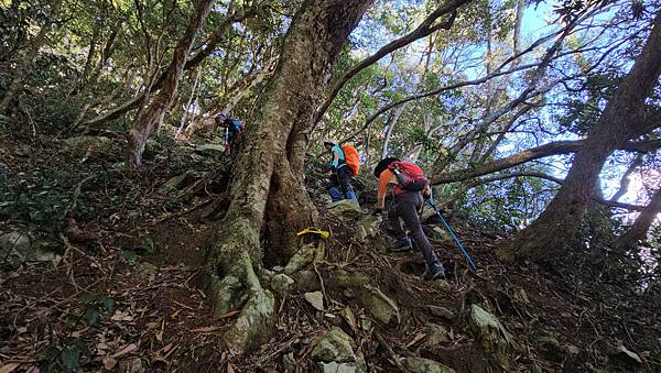 【屋東縱走】屋我尾/東卯山大崩壁-谷關七雄一日2雄挑戰(麗陽