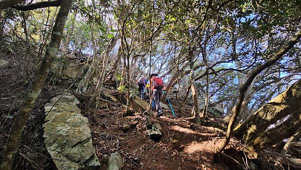 【屋東縱走】屋我尾/東卯山大崩壁-谷關七雄一日2雄挑戰(麗陽