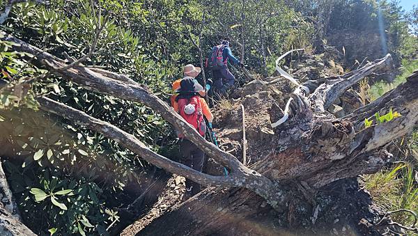 【屋東縱走】屋我尾/東卯山大崩壁-谷關七雄一日2雄挑戰(麗陽