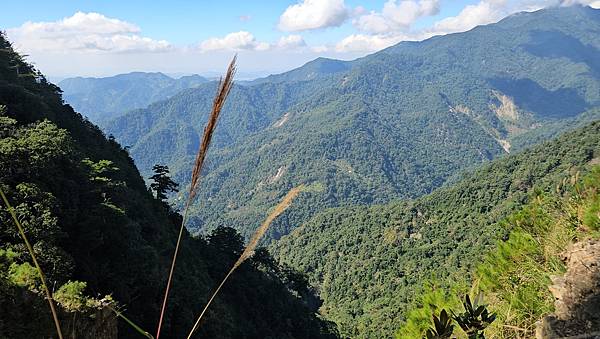 【屋東縱走】屋我尾/東卯山大崩壁-谷關七雄一日2雄挑戰(麗陽