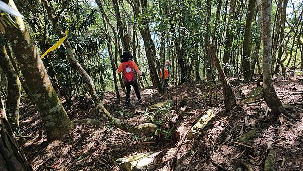 【屋東縱走】屋我尾/東卯山大崩壁-谷關七雄一日2雄挑戰(麗陽