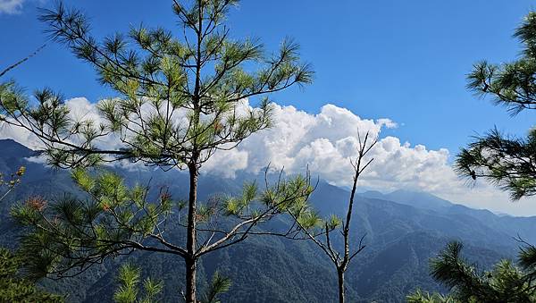 【屋東縱走】屋我尾/東卯山大崩壁-谷關七雄一日2雄挑戰(麗陽