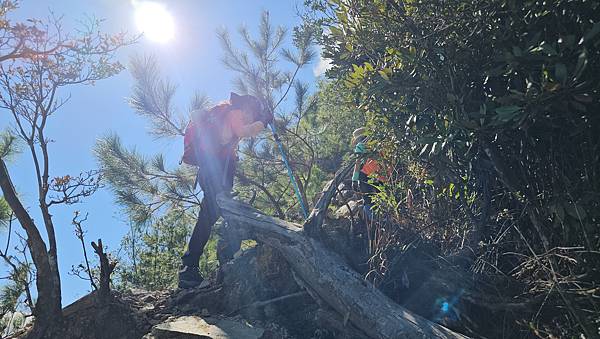 【屋東縱走】屋我尾/東卯山大崩壁-谷關七雄一日2雄挑戰(麗陽