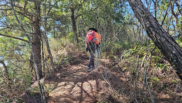 【屋東縱走】屋我尾/東卯山大崩壁-谷關七雄一日2雄挑戰(麗陽