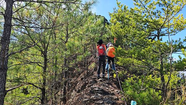 【屋東縱走】屋我尾/東卯山大崩壁-谷關七雄一日2雄挑戰(麗陽