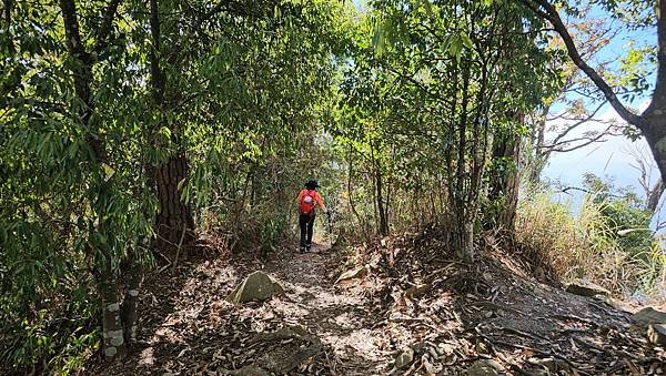 【屋東縱走】屋我尾/東卯山大崩壁-谷關七雄一日2雄挑戰(麗陽