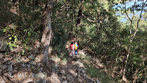 【屋東縱走】屋我尾/東卯山大崩壁-谷關七雄一日2雄挑戰(麗陽