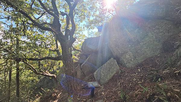 【屋東縱走】屋我尾/東卯山大崩壁-谷關七雄一日2雄挑戰(麗陽