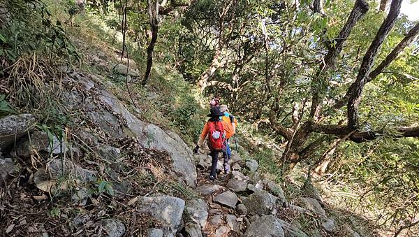 【屋東縱走】屋我尾/東卯山大崩壁-谷關七雄一日2雄挑戰(麗陽