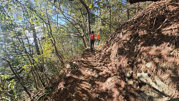 【屋東縱走】屋我尾/東卯山大崩壁-谷關七雄一日2雄挑戰(麗陽