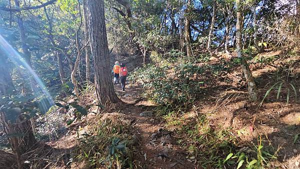 【屋東縱走】屋我尾/東卯山大崩壁-谷關七雄一日2雄挑戰(麗陽