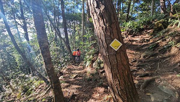 【屋東縱走】屋我尾/東卯山大崩壁-谷關七雄一日2雄挑戰(麗陽