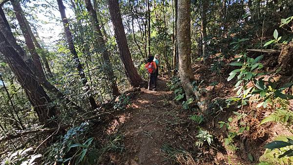 【屋東縱走】屋我尾/東卯山大崩壁-谷關七雄一日2雄挑戰(麗陽