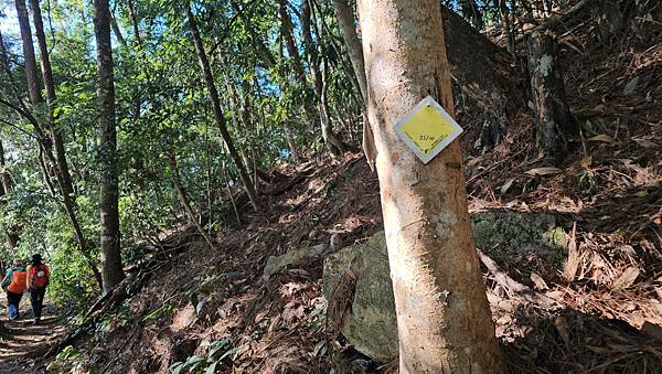 【屋東縱走】屋我尾/東卯山大崩壁-谷關七雄一日2雄挑戰(麗陽