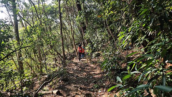【屋東縱走】屋我尾/東卯山大崩壁-谷關七雄一日2雄挑戰(麗陽