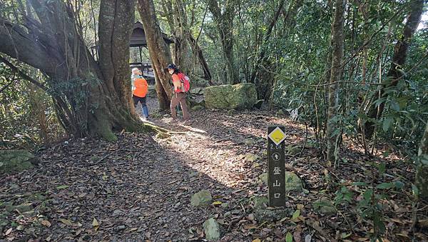 【屋東縱走】屋我尾/東卯山大崩壁-谷關七雄一日2雄挑戰(麗陽