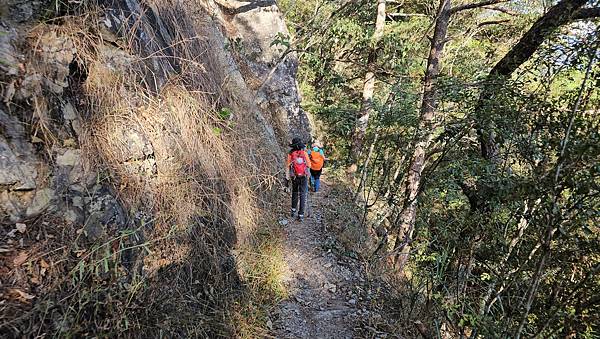 【屋東縱走】屋我尾/東卯山大崩壁-谷關七雄一日2雄挑戰(麗陽