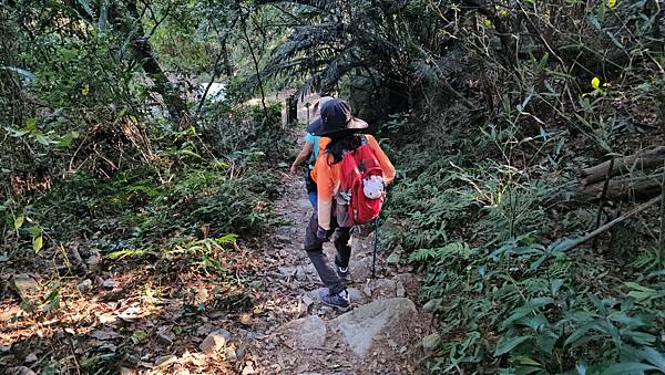 【屋東縱走】屋我尾/東卯山大崩壁-谷關七雄一日2雄挑戰(麗陽