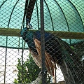 IMG_0211.JPG