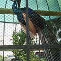 IMG_0212.JPG