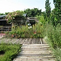 IMG_0214.JPG