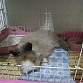 Image00013.jpg