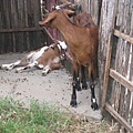 IMG_1143.JPG