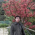 RIMG0297.JPG