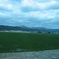 沿路風景