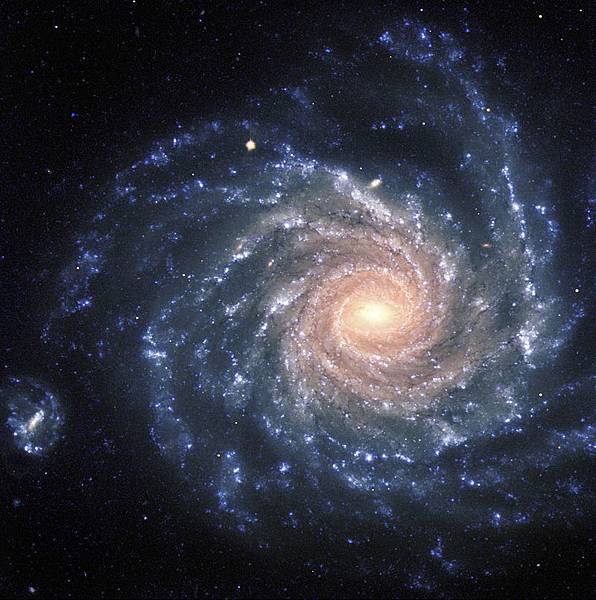 800px-NGC_1232.jpg