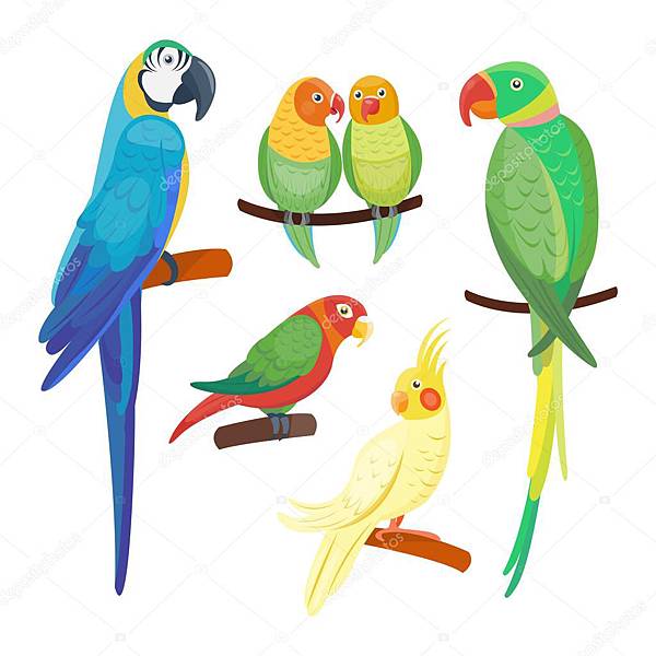 depositphotos_122564442-stockillustratie-cartoon-papegaaien-instellen-vector.jpg depositphotos_122564442-stockillustratie-cartoon-papegaaien-instellen-vector.jpg