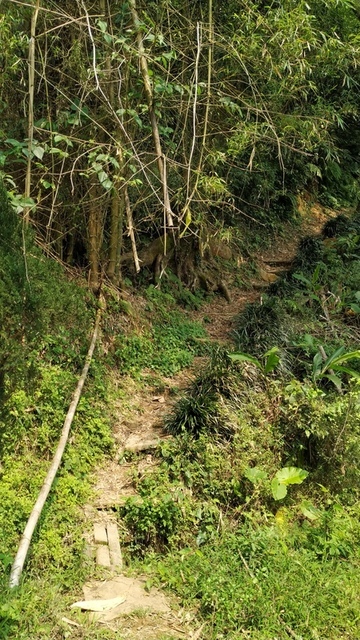 真武健行步道登山口