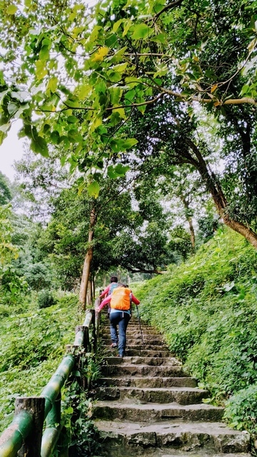 貴子坑親山步道