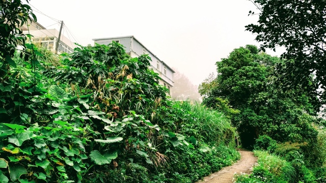 下青礐聚落房舍