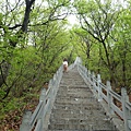 茱萸峰下行步道1600多階，陡~~~