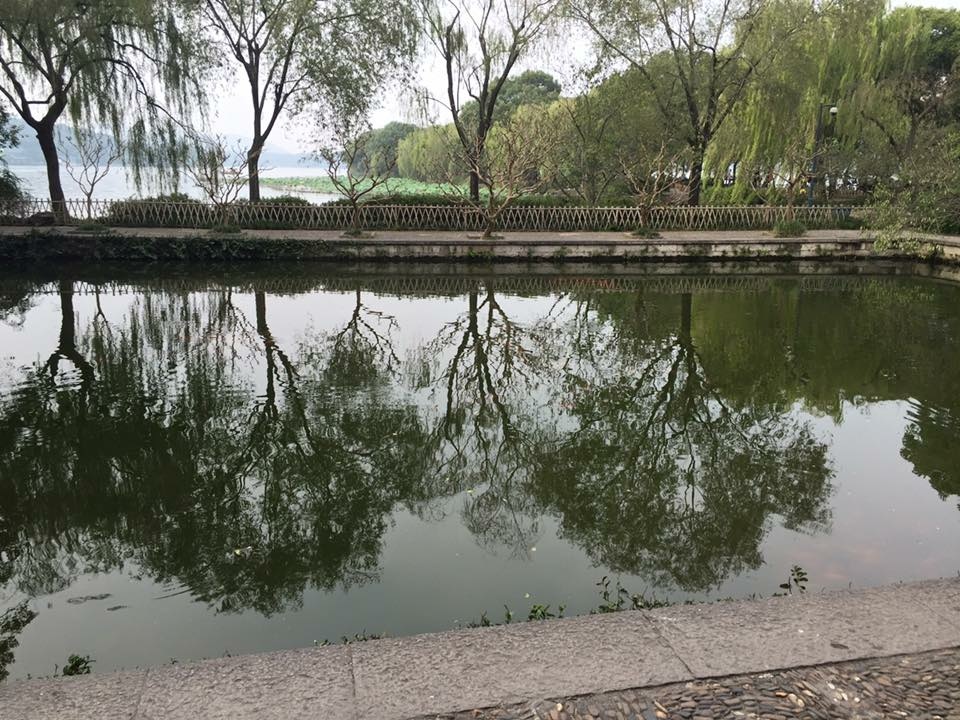 【漫遊杭州】西湖美景～三月天咧！南屏晚鐘、花港觀魚、武松、蘇