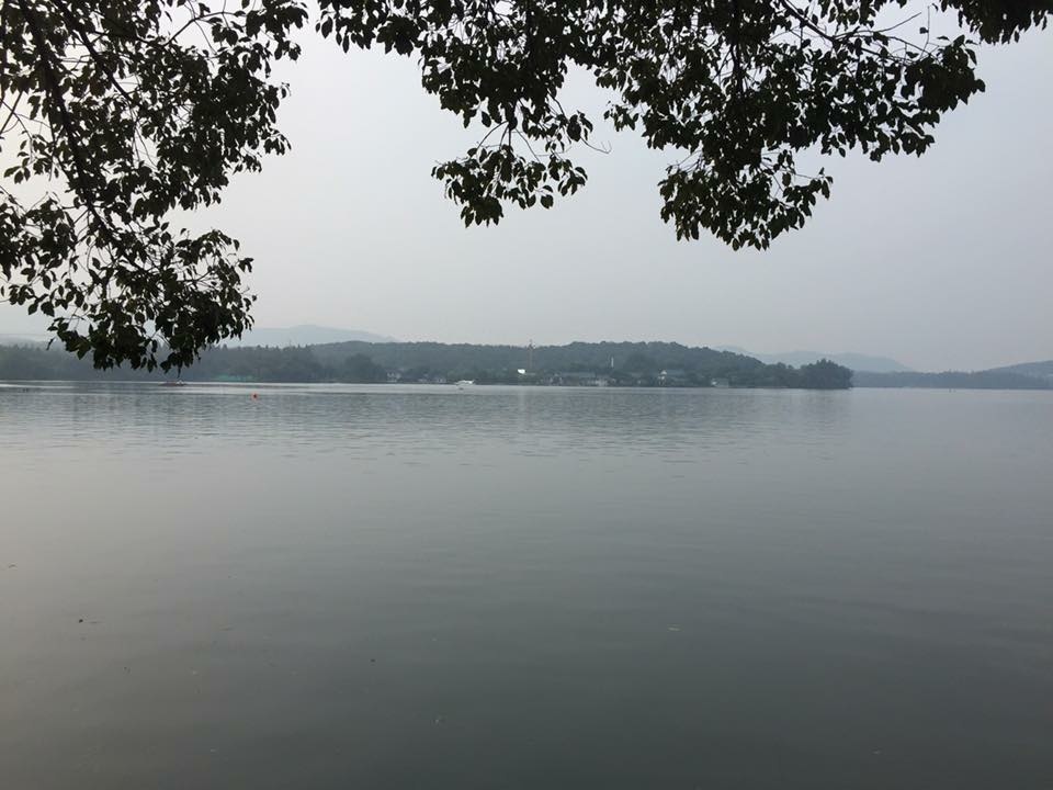 【漫遊杭州】西湖美景～三月天咧！南屏晚鐘、花港觀魚、武松、蘇