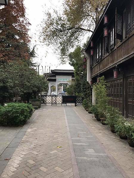 【漫遊杭州】鐵腿徒步遊運河，紅楓、楊柳、大兜路、香積寺、富義