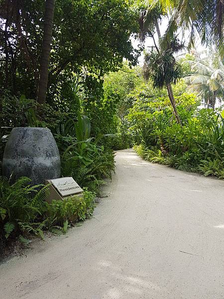 【海外旅遊】蜜月 馬爾地夫 Amilla Fushi Res